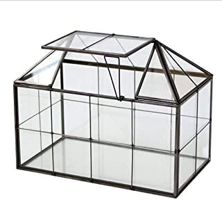 Amazon.com: house succulent plants Tabletop Greenhouse, Terrarium Closed, Terrarium House, Desktop Planter, House Planter, Terrarium Containers, Geometric Terrarium, Moss Terrarium, Terrariums Kits