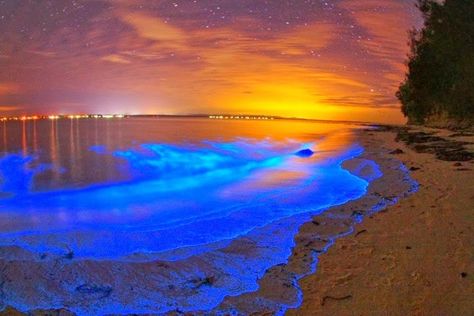 #Mosquitobay #puertorico  Mosquito bay in Puerto Rico also known as Biolumescent Bay is a amazing place.  Mosquito bay is on the isle de vieques which is part of Puerto rico. The bay is famous for it's luminous water which glows an electric blue color. The reason why the water is this amazing color is due to the plankton reflecting light. This magical scene attracts lots of tourists. The colors are so vibrant' the electric blue against the sunset red makes it almost like a landscape portrait. Bioluminescent Plankton, Destination Honeymoon, Strand Wallpaper, Bioluminescent Bay, Dark Beach, Maldives Beach, Visit Maldives, San Juan Island, Porto Rico