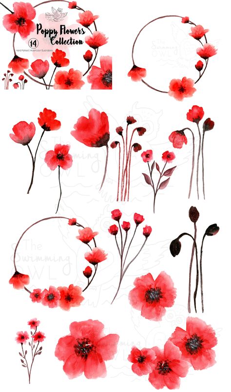 Poppy Flowers Watercolor Clipart #Vibrant#hand#printable#products Poppy Flower Drawing, Ftd Flowers, Poppy Flower Tattoo, Poppy Tattoo, Flower Poppy, Clipart Flowers, Poppy Drawing, Poppies Tattoo, Idee Cricut