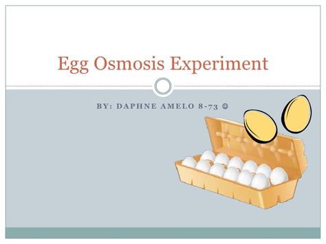 Osmosis Experiment, Teaching Science, Egg, Science, For Free