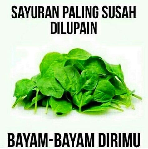 Sayur bayam keleus 🌿😎 Sayur Bayam, Sarcastic People, Image Meme, Humor Twitter, Quotes Sarcastic, Quotes Lucu, Funny Relationship Quotes, Cute Jokes, Funny Quotes For Teens