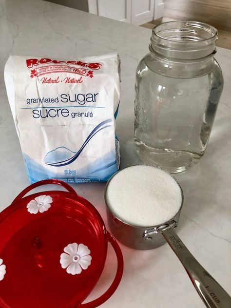 Hummingbird Feeder Recipe, Hummingbird Food Recipe, Sugar Water For Hummingbirds, Make Hummingbird Food, Homemade Hummingbird Nectar, Homemade Hummingbird Food, Hummingbird Nectar Recipe, Hummingbird Water, Hummingbird Food