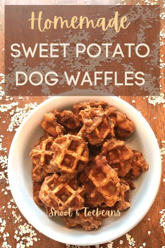 Dog Waffles, Dog Cookie Recipes, Sweet Potato Dog, Foods Dogs Can Eat, Potato Dog, Pet Treats Recipes, Dog Treats Homemade Easy, Easy Dog Treat Recipes, Doggy Treats