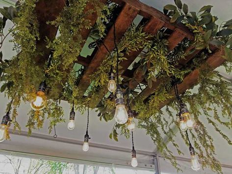 Pallet Chandelier, Ladder Light Fixture, Old Ladder Decor, Plant Ceiling, Ladder Chandelier, Cafe Plants, Pallet Light, Dream House Layout, Plant Ladder