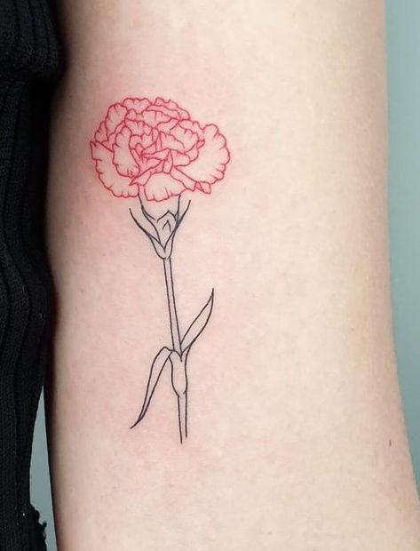 Red Geraniums Tattoo, Hadestown Flower Tattoo, Simple Carnation Tattoo Outline, White Carnation Tattoo, Carnation Tattoo Outline, Red Carnation Tattoo, Simple Carnation Tattoo, Hadestown Tattoo, Hadestown Flower