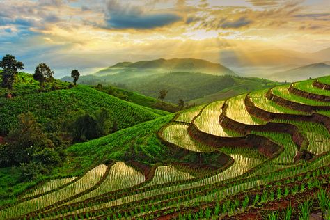 Rice terraces Types Of Farming, Rice Terraces, Sacred Valley, Chiang Mai, Beach Fun, Unesco World Heritage Site, Most Beautiful Places, World Heritage Sites, Southeast Asia