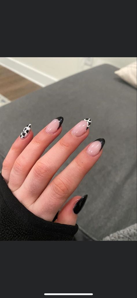 Western Acrylic Nails Oval, Cute Oval Nail Designs, Almond Shape Cow Print Nails, Cow Nails Acrylic Almond, Simple Western Nails Almond, Almond Country Nails, Oval Western Nails, Cow Nails Almond, Cow Tip Nails