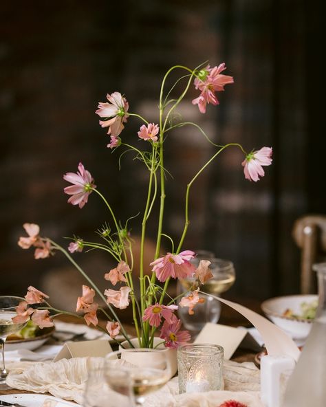 Julia & Matthew’s reception was a celebration of creativity, where every table told its own story 🌸✨. We used pin frog dishes to craft wild, one-of-a-kind arrangements—no two were alike—transforming the room into a breathtaking exploration of fall blooms and textures. 🍄 Mushrooms added a playful touch and a hint of whimsy to every design. Photographer: @jennyfloraphoto Venue: @waterloovillageweddings Florist: @whimsy_flower Mushrooms: @mushroom.direct Whimsy Flowers, Florist, Stuffed Mushrooms, Texture, Photographer, Flowers, Quick Saves, Design