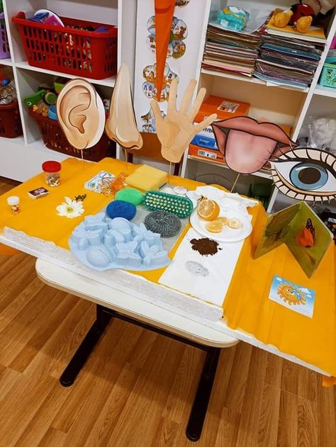 Emotions Sensory Bin, Bloxburg Basement Ideas, 5 Senses Activities, Preschool Music Activities, Kids Basement Ideas, Ideas Animal Crossing, Basement Ideas For Kids, Senses Preschool, Bloxburg Basement