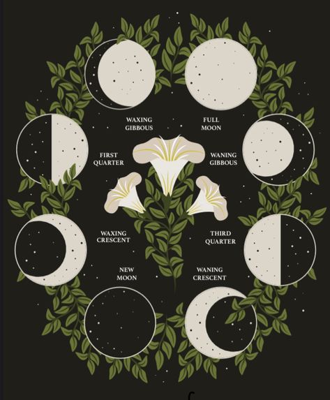 Witchy Botanical Illustration, Botanical Witch Aesthetic, Herbology Wallpaper Aesthetic, Green Witch Illustration, Moon Phases Wallpaper, Witchy Artwork, Mother Earth Art, Unique Talents, Hidden Talents