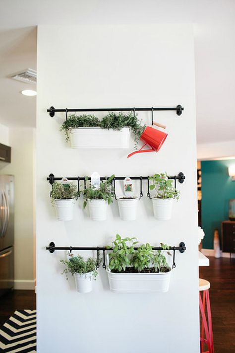 10 Easy Weekend Projects for a Better Kitchen (Renter's Edition) - The Everygirl Wall Garden Indoor, Fixer Upper Diy, Indoor Garden Apartment, Diy Farmhouse Kitchen Decor, Herb Garden Wall, Easy Weekend Projects, Herb Wall, Vertical Garden Indoor, Herb Garden In Kitchen