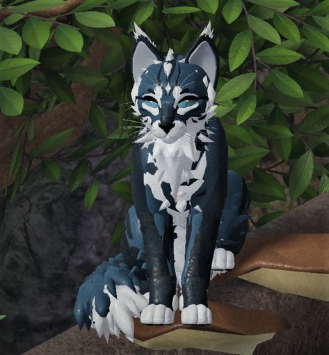 Wuce Morphs Ideas, Warrior Cat Morph Ideas Wcue, Wcue Morph Ideas Without Gamepasses, Warrior Cats Morph Ideas Free, Warrior Cat Ultimate Edition Oc, Warrior Cats Roblox Morphs Ideas Free, Morph Inspo Warrior Cats, Roblox Warrior Cats Morphs, Wcue Morphs Ideas Free