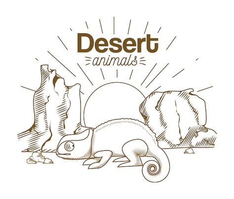 Desert Animals And Plants, Hand Animals, Hand Drawing Cartoon, Desert Illustration, Animated Anatomy, Plants Drawing, Aesthetic Tumblr Backgrounds, Cartoon Drawings Of People, Animal Vector