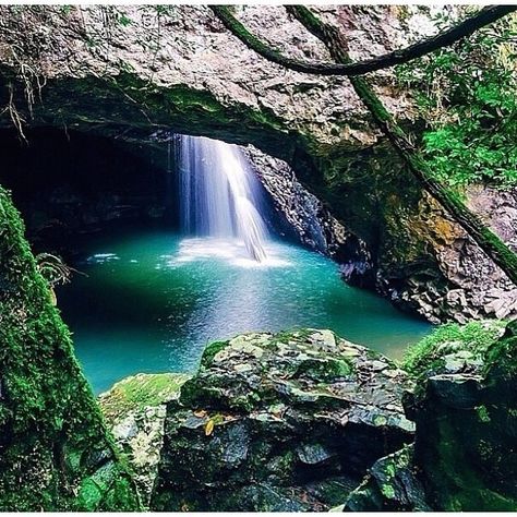 Springbrook National Park, Gold Coast, Australia with @yhaaustralia Magical Waterfall, Airlie Beach, Gold Coast Australia, Visit Australia, Natural Bridge, Future Travel, Cairns, Canberra, Beautiful Places To Visit