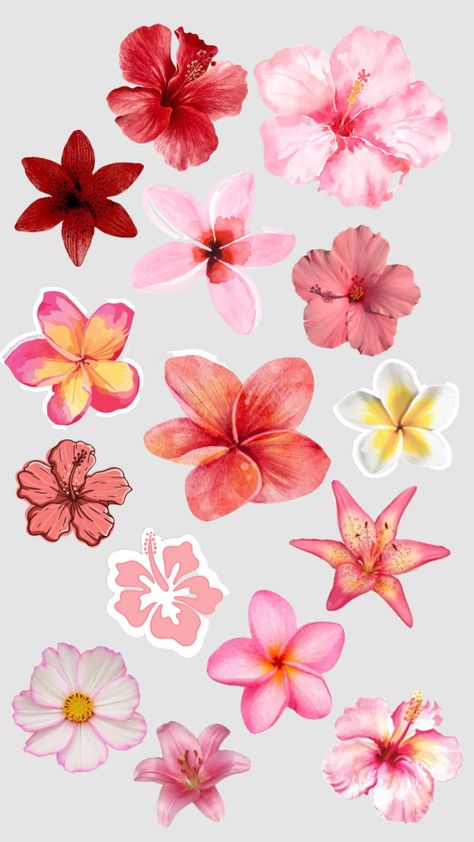 aesthetic flower stickers printable scrapbook stickers Colourful Stickers Aesthetic, Flower Digital Stickers, Sticker Pages Aesthetic, Stickers Printable Flowers, Flower Stickers Aesthetic Printable, Flowers Aesthetic Stickers, Flower Stickers Printable, Aesthetic Flower Stickers Printable, Stickers Aesthetic Printable