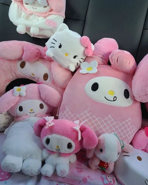 Plushies In Car, Pink Plushies, My Melody Car, Sanrio Plushies, Sanrio Plush, Hello Kitty Car, Hello Kitty Rooms, Kitty Clothes, Hello Kitty Clothes