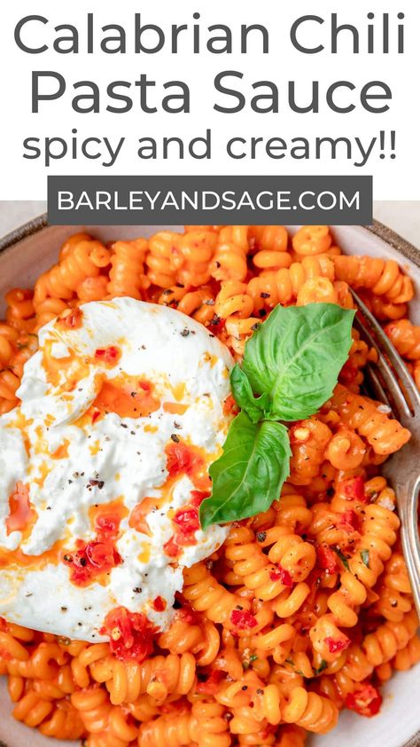 This Calabrian chili pasta has a creamy, spicy sauce made with Calabrian chilies and topped with creamy burrata cheese and fresh basil! It's the perfect easy weeknight meal that comes together in about 30 minutes! Calabrian Chili Pasta Sauce, Calabrian Chili Sauce, Calabrian Chili Vodka Sauce, Calabrian Pepper Recipes, Recipes With Calabrian Chili Paste, Calabrian Chili Recipes Bobby Flay, Arabiatta Pasta Recipes, Calabrian Chili Paste Recipes, Calabrian Pasta