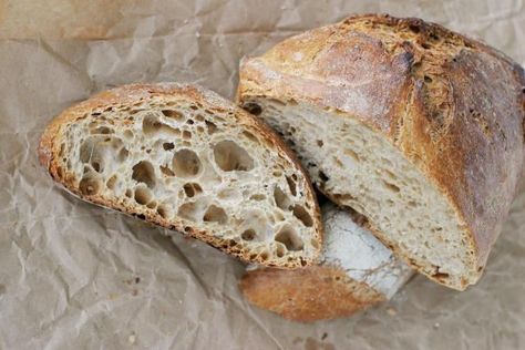 Potato Flake Sourdough Starter and Bread Recipe. Potato flakes make an easy starter for sourdough bread. This is a variation of friendship starter for breads. With attention, you can keep this starter going for a very long time. It will continue to gather wild yeast from the air and just get better. Easy Sourdough Bread Recipe, Hp Sauce, Friendship Bread, Sourdough Bread Starter, Instant Potatoes, No Yeast Bread, Potato Flakes, Bread Starter, Rustic Bread