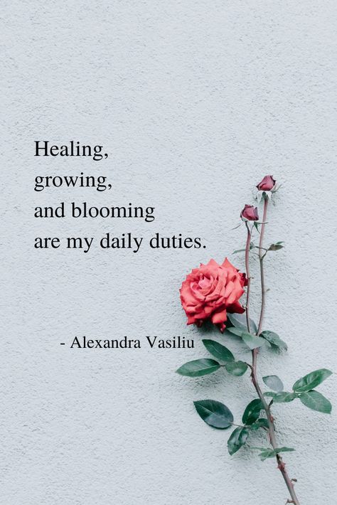 A Journey of Growing and Blooming_Poem by Alexandra Vasiliu_Bestselling author of Healing Is a Gift, Healing Words, Be My Moon, Blooming, Plant Hope, Magnetic, and Through the Heart's Eyes Amazing Poems, Healing Poems, Powerful Poetry, Book Healing, Alexandra Vasiliu, Independent Bookstore, Floral Quotes, Indie Bookstore, Inspirational Poems