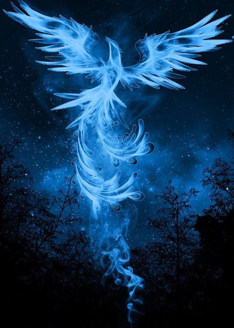 Phoenix Animal, Phoenix Bird Art, Phoenix Harry Potter, Phoenix Wallpaper, Phoenix Artwork, Phoenix Images, Madara Wallpaper, Spirit Realm, Ravenclaw Aesthetic