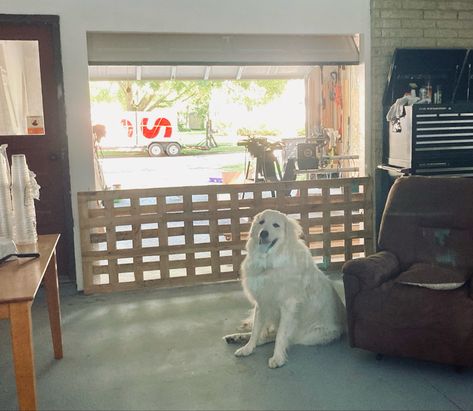 Diy Dog Room In Garage, Garage Dog Room, Cat Gate, Garage Laundry Rooms, Garage Laundry, Moody Decor, Dog Room, Garage Organization Diy, Garage Makeover