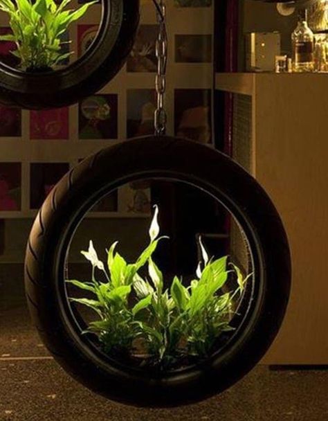 Recicled tires Repurposed Tire, Diy Hanging Chair, Reuse Old Tires, Tire Craft, Tire Garden, Tire Art, نباتات منزلية, Upcycle Ideas, Tyres Recycle