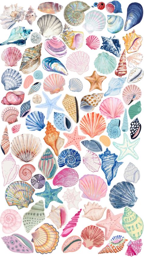 🐚🦪🌊🪸☀️🌺 Seashell Drawing, Summer Prints Wallpaper, Screen Savers Wallpapers, Summer Backgrounds, Travel Stickers, Beautiful Flowers Pictures, Summer Prints, Screen Savers, Flower Pictures