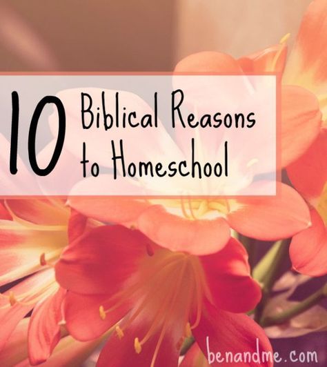 Holistic Homeschooling, Homeschool Subjects, Classical Homeschooling, School Encouragement, Biblical Parenting, Raising Godly Children, Homeschool Freebies, Homeschool Tips, Homeschool Inspiration