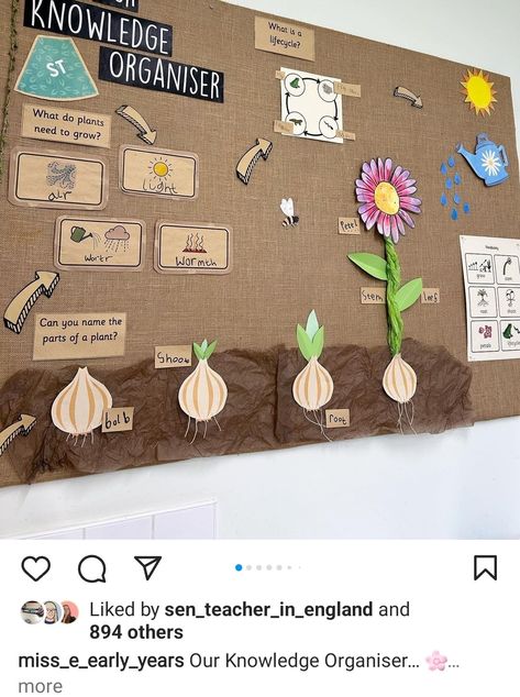 Plants Classroom Display, Year 3 Classroom Displays, Natural Classroom Displays, Natural Classroom Decor, Classroom Displays Ks2, Nursery Display Boards, Nature Based Classroom, Maths Classroom Displays, Classroom Wall Displays