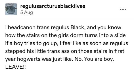 Canon Regulus Black, Regulus Black Trans, Black Family Marauders, Trans Regulus Black Headcannons, Black Brothers Headcanons, Barty And Regulus, Trans Regulus Black Fanart, Regulus Black Headcanon, Trans Regulus Black