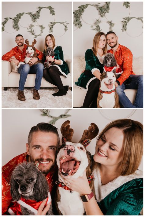 Christmas Photos Studio, Dog Christmas Pictures With Owner, Xmas Photoshoot, Family Dog Photos, Photoshoot Indoor, Dog Christmas Pictures, Christmas Couple Pictures, Christmas Session, Christmas Poses