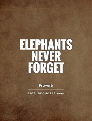 Elephant Sayings, Never Forget Quotes, Elephant Quotes, Elephant Facts, Quotes About Friendship, Forgotten Quotes, Elephants Never Forget, Elephant Pictures, Picture Quote