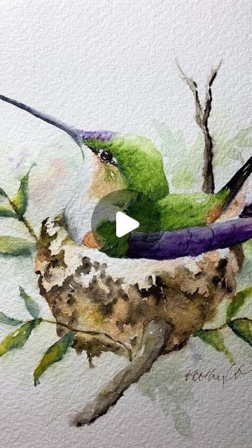 Hummingbird Art Watercolor, Hummingbird Watercolor Painting, Watercolor Birds Tutorial, Hummingbird Watercolor, Bird Watercolor Art, Watercolor Paintings Of Animals, Watercolor Hummingbird, Hummingbird Painting, Bird Watercolor Paintings