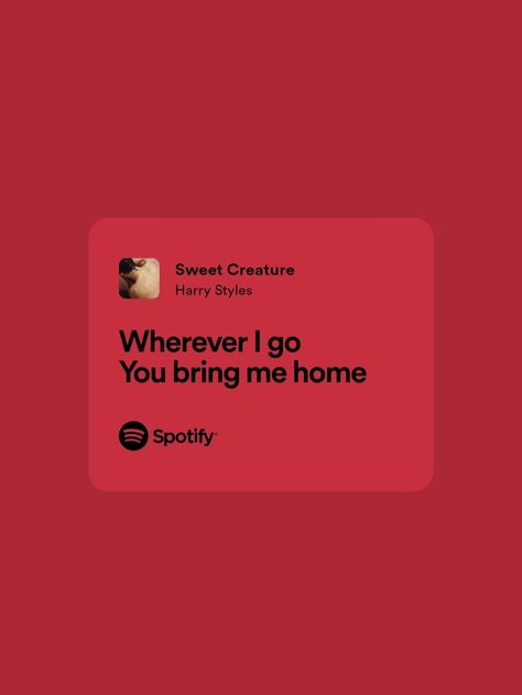 Sweet Creature Lyrics, Style Lyrics, Spotify Lyrics, Just Lyrics, Song Quotes, Music Lyrics, Journal Ideas, Song Lyrics, Ipad