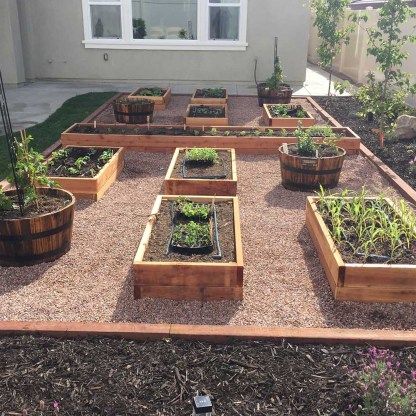 Edible Gardens, Raised Planter Boxes, Building A Raised Garden, Garden Area, Raised Planter, Veg Garden, Backyard Garden Design, Vegetable Garden Design, Garden Boxes