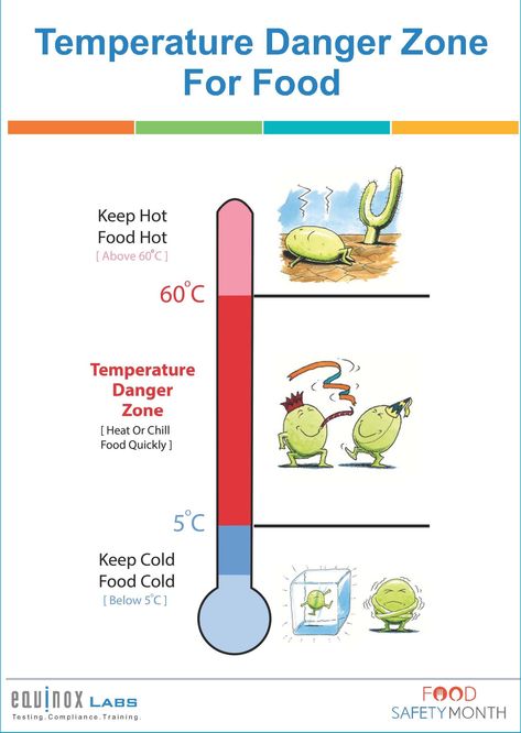 Food Danger Zone, Culinary Terms, Food Safety Posters, Food Safety And Sanitation, Food Safety Training, Cleaning Cars, Starting A Food Truck, Culinary Lessons, Emergent Curriculum