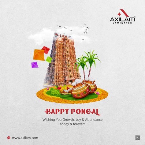 Pongal Poster Design, Pongal Creative Ads, Pongal Poster, Pongal Background, 360 Logo, Happy Pongal Wishes, Pongal Wishes, Happy Sankranti, Happy Easter Messages