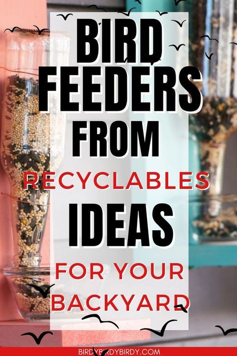 DIY Bird Feeders From Recyclables. Creating DIY bird feeders from recyclables is an eco-friendly way to attract birds to your garden while reducing waste. Use items like plastic bottles, tin cans, and old jars to craft unique and functional feeders. These projects are not only good for the environment but also provide a fun and creative activity for the whole family. Wine Cork Bird Feeder, Nut Free Bird Feeder Craft, Diy Seed Catcher For Bird Feeder, Suet Feeder Ideas, Building A Bird Feeder, Bird Feeder Ideas Diy, Peanut Butter Bird Feeder Diy, Bird Deterrent Ideas Diy, Easy Bird Feeders For Kids To Make