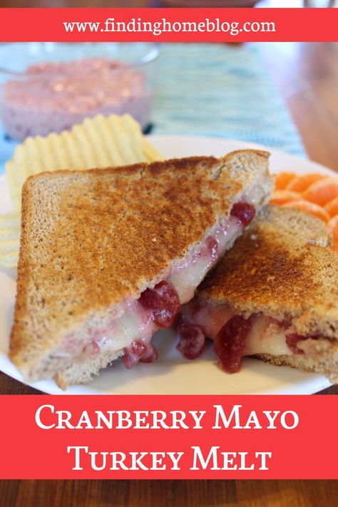 Turkey And Cranberry Sandwich, Cranberry Mayo Recipe, Turkey Patty Melt Recipe, Dinner Roulette, Cranberry Sauce For Turkey, Cranberry Sauce Sandwich, Brie Sandwich Recipes, Turkey Panini Recipes, Cranberry Mayo