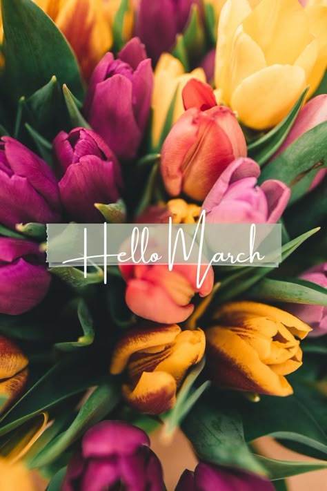 Hello March Images, Hello October Images, Hello March Quotes, March Backgrounds, Aesthetic Pictures Wallpaper, April Wallpaper Aesthetic, Aesthetic Spring Wallpaper, March Images, Wallpaper April