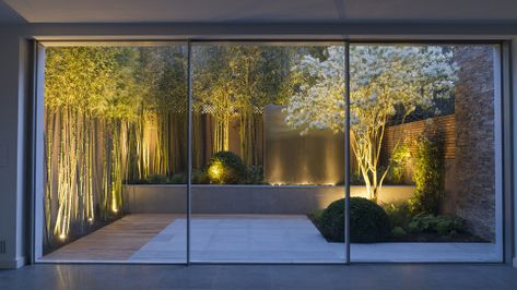 John Davies Landscape has been featured twice in The most popular outdoor living Photos of 2015 for Houzz Modern Garden Lighting, Asian Garden, Contemporary Garden, Hus Inspiration, Courtyard Garden, Camping Ideas, Garden Yard, Modern Landscaping, Back Garden