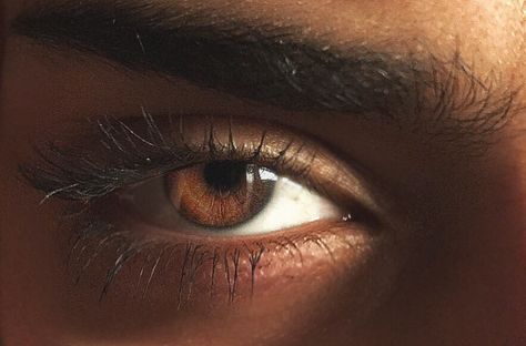 Brown Eyes Boy, Max Rigel Zodiac Academy, Brown Eyed Boy, Max Rigel, Woven Kingdom, Brown Eyes Aesthetic, Brown Eye Boys, Indian Eyes, Hazel Levesque