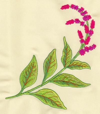 Amaranth Tattoo, Birth Flower Tattoos, Embroidery Design Sets, Flowers Tattoo, Amaranth, Flower Embroidery, Tattoo Inspo, Embroidery And Stitching, Birth Flowers