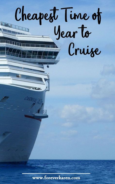 Safari Vacation, Cruise Life, Cruise Ports, Cruise Party, Cruise Planning, Cheap Cruises, Cruise Liner, Alaskan Cruise, Family Vacation Destinations