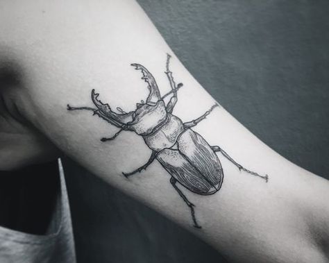 Beetle Tattoo Small, Dung Beetle Tattoo, Stag Beetle Tattoo, Lucanus Cervus, Small Animal Tattoos, Dung Beetle, Beetle Tattoo, Bug Tattoo, Simple Tattoo Designs