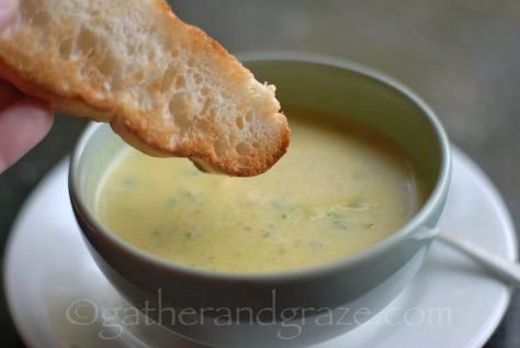 Zucchini Parmesan Soup | Gather and Graze Should I Leave Him, Italian Zucchini, Zucchini Parmesan, Parmesan Soup, Neil Perry, Green Zucchini, The Melting Pot, Zucchini Soup, Zucchini Slice