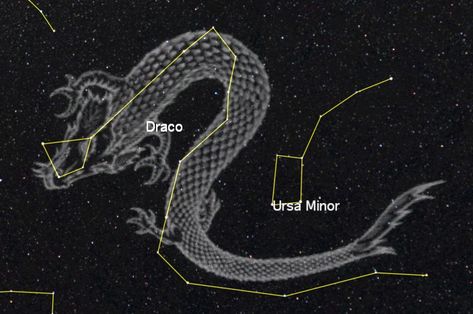 Draco (Latin for dragon) is circumpolar (never setting) for many in the northern hemisphere. The Greek constellation of Hydra is an adaptation of a Babylonian constellation: the MUL.APIN includes a “serpent” constellation (MUL.DINGIR.MUŠ) that loosely corresponds to Hydra. It is one of two Babylonian “serpent” constellations (the other being the origin of the Greek Serpens), a mythological hybrid of serpent, lion and bird. The Hydra of Lerna's lair was the lake of Lerna in the Argolid, though ar Draco Constellation, Dragon Chess, Zodiac Leo Art, Ursa Minor, Arte Alien, Indigo Children, The Last Unicorn, Constellation Tattoos, Mythical Beast