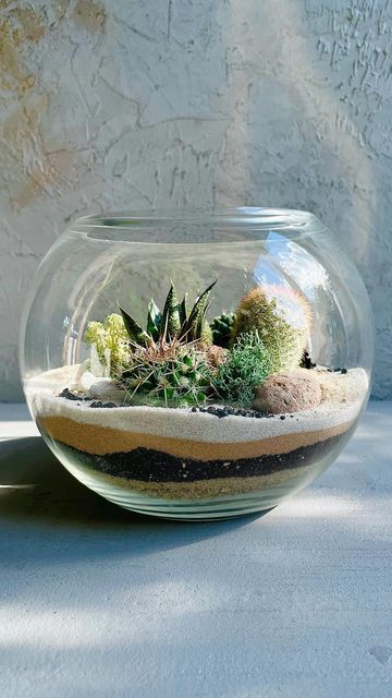 Glass Gardens🇬🇧| Terrarium Art on Instagram: "We not only do Closed Tropical Terrariums, but Open Desert Terrariums with succulents and cacti as well - here is the example!🌵🏜 Stay tuned for info about Desert Terrarium Workshop launching soon✨ #terrarium #terrariums #openterrarium #largeterrarium #terrariumlover #desertterrarium #terrariumsofinstagram #cacti #succulents #indoorgardening #sliceofnature #bringnatureindoors #homedecor #housedecor #plants #glassgarden #plantlover #glassgardenslon Desert Terrarium Ideas, Open Terrarium Ideas, Terrarium Open, Terrarium Bar, Desert Terrarium, Beach Terrarium, Cactus Bowl, Terrarium Art, Terrarium Scene