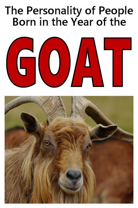 Year of the Goat - Personality of People Born in the Year of the Goat (or Sheep) Year Of The Goat Chinese Zodiac, Goat Meaning, Characteristics Of People, Golden Goat, Year Of The Sheep, Year Of The Goat, December Horoscope, Zodiac Years, Rap Lyrics Quotes