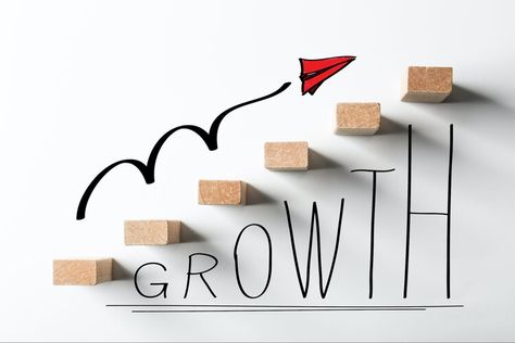 How to Create a Growth Plan for Your Business in 6 Simple Steps Small Business Growth, Line Of Credit, Growth Strategy, Business Loans, Business Growth, Growing Your Business, Start Up, Budgeting, The Globe